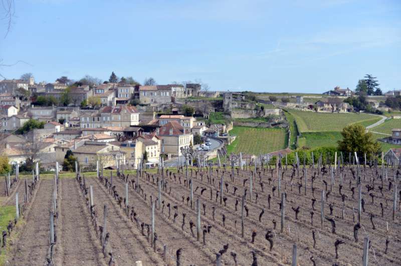 St Emilion